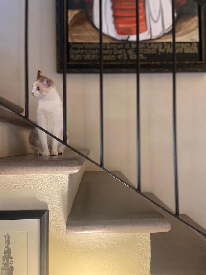 سان ميغيل دي الليندي Casa Juana Guesthouse المظهر الخارجي الصورة